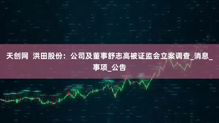 天创网  洪田股份：公司及董事舒志高被证监会立案调查_消息_事项_公告