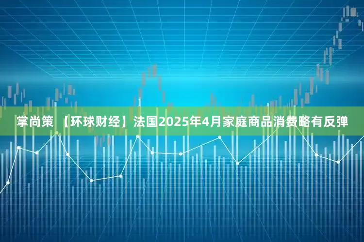 掌尚策 【环球财经】法国2025年4月家庭商品消费略有反弹