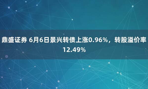 鼎盛证券 6月6日景兴转债上涨0.96%，转股溢价率12.49%