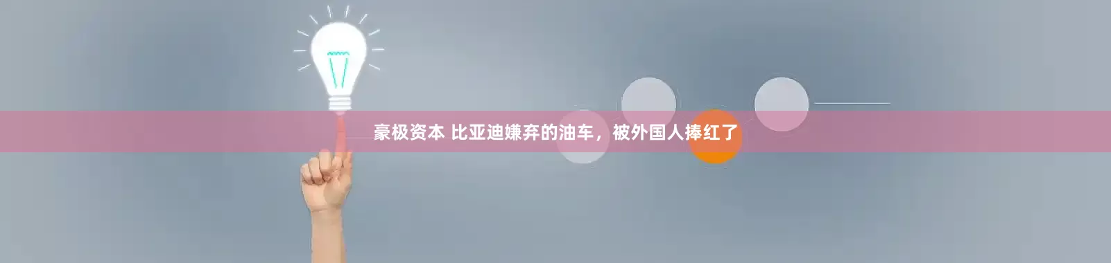 豪极资本 比亚迪嫌弃的油车，被外国人捧红了